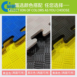 Professional Taekwondo Gym Floor Mat, Non-Slip Sports Mat, 1m Foam Mats, Interlocking Martial Arts and Dance Training Thickened Mat