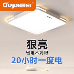 2025 New Model Led Ceiling Light for Room, Bedroom, Living Room, Hall, Modern Simple and Elegant Zhongshan Lighting Fixtures