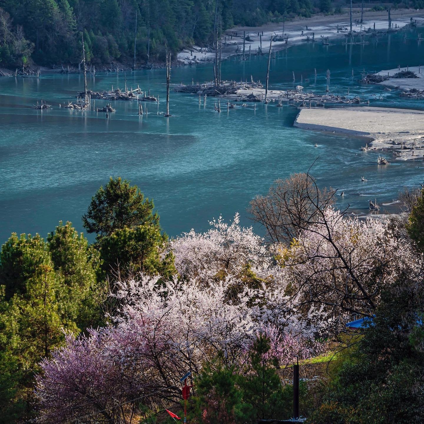 西藏林芝+波密+然乌湖+鲁朗6天5晚纯玩小团南迦巴瓦峰巴松措松赞