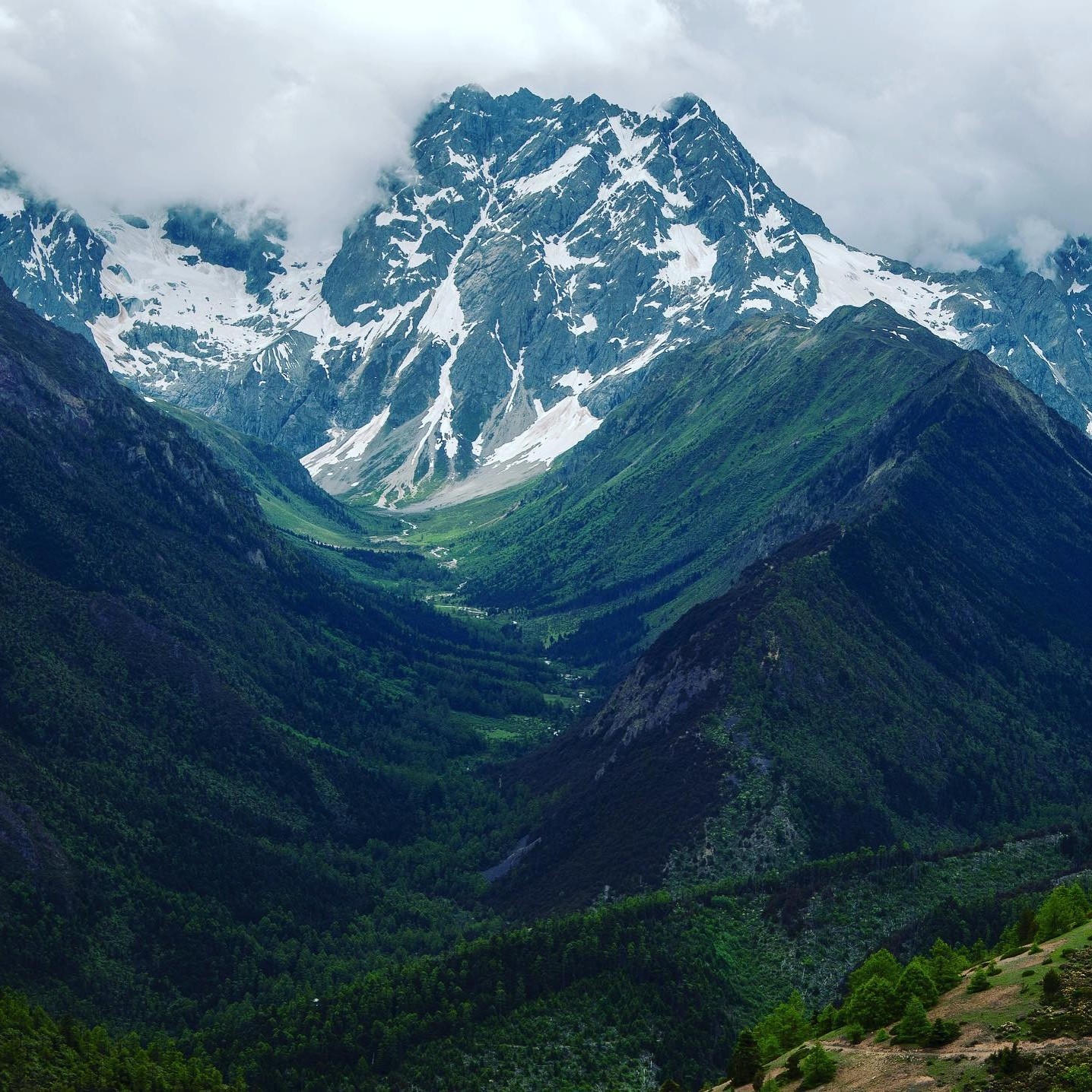丽江+香格里拉+白马雪山徒步5日4晚私家团 住既下山梅里酒店