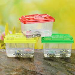 Mini Portable Small Fish Tank Transparent Aquarium Pet Box Plastic Turtle Tank Goldfish Tank Fish Box Turtle Box