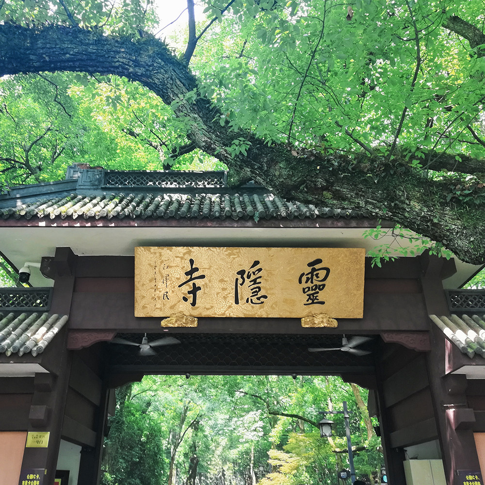 杭州灵隐寺飞来峰半日游 15人小团 2小时深度讲解 当地专业导游