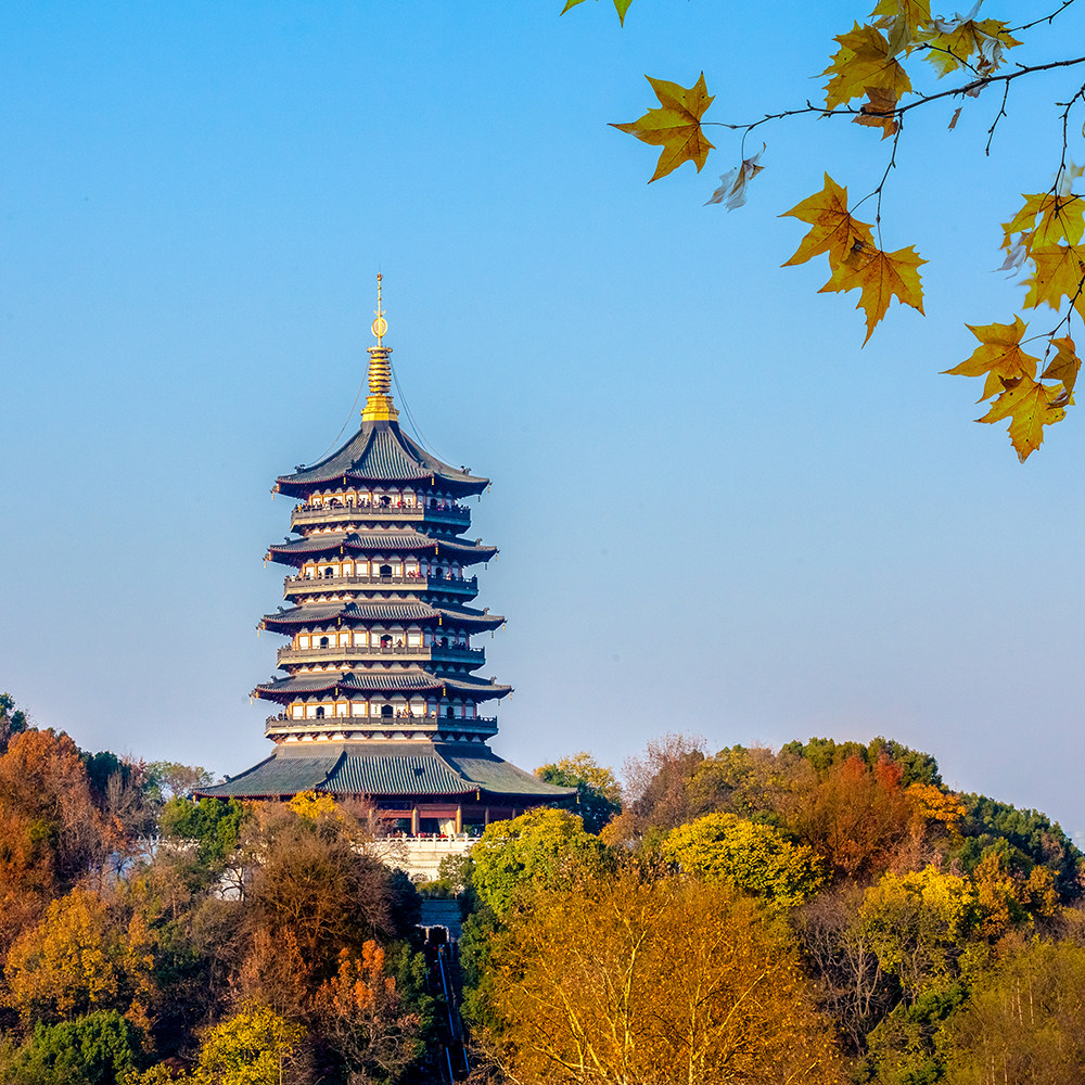 杭州西湖雷峰塔下午半日游 纯玩团 导游讲解 含门票游船 含预约