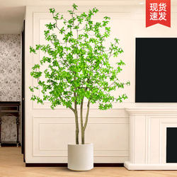Artificial Green Plant Hanging Bell Tree Horsewood Imitation Potted Plant Tv Cabinet Decoration Ornament Living Room High-End Light Luxury Fake Plant
