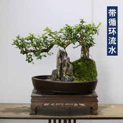 Desktop flowing water rockery bonsai Fujian tea