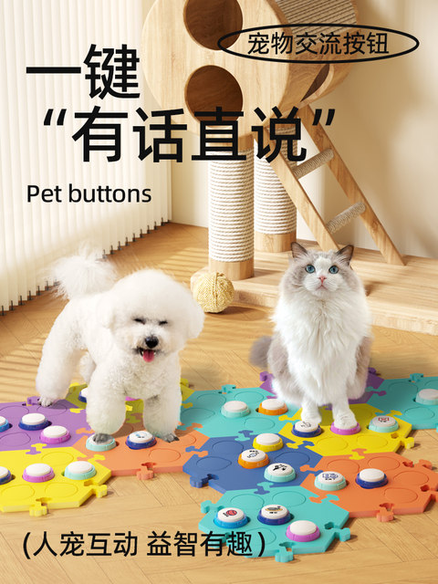 Pet communication button Cats and dogs speaking buttons recording voice ...