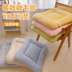 Dog Mat, Winter Warm Cat Mat, Thickened Winter Cat Blanket, Dog Bed Mat, Cat Bed Mat, Pet Supplies