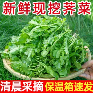 野薺菜新鮮- Top 100件野薺菜新鮮- 2024年5月更新- Taobao