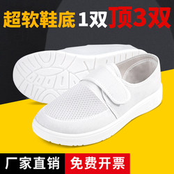 Dust-Free Shoes, Special Work Shoes for Electronics Factory Workshops, Anti-Static Shoes, Soft Soles, Thickened Velcro Single Mesh Shoes, Men's and Women's Models