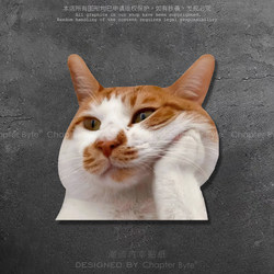 Car Stickers with Cat Emoticons, Personalized and Creative Car Stickers, Electric Motorcycle Body Glass Computer Case Decorative Stickers