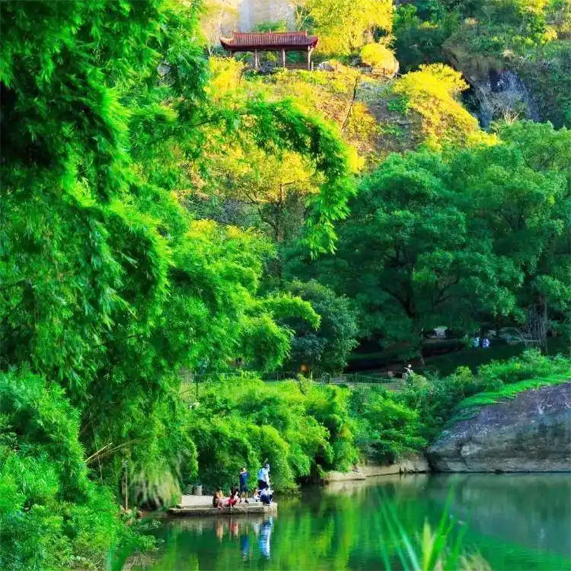 武夷山当地3天2晚私家小团三日游 南平武夷山小包私家团 含正餐