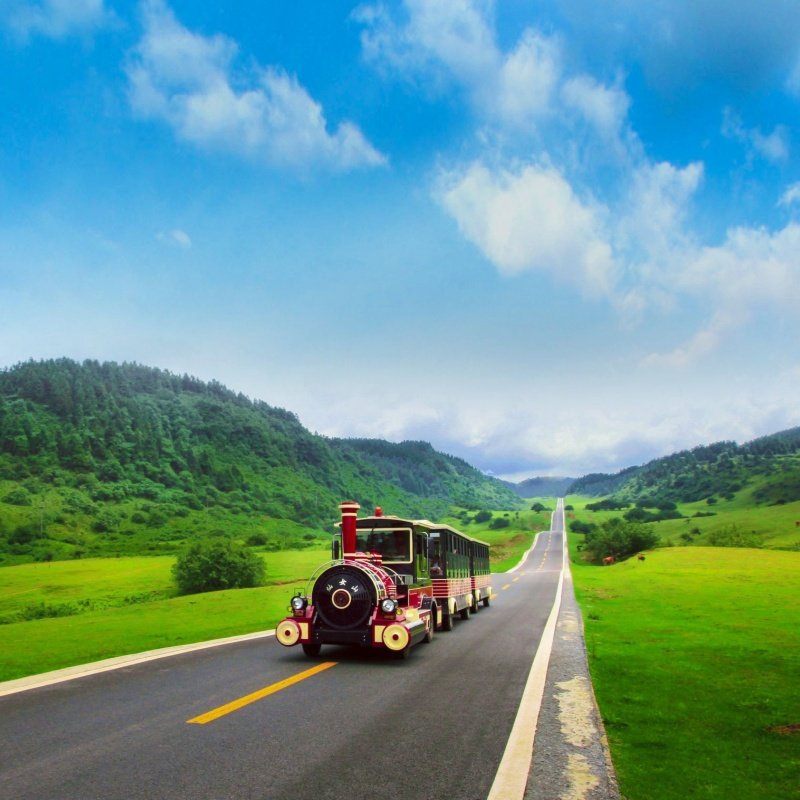 重庆旅游武隆天生三桥仙女山地缝+市内5日游跟团游陆地头等舱
