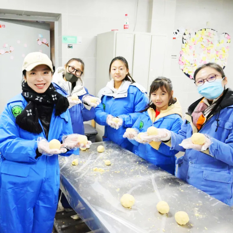 四川成都大熊猫亲子营三星堆博士讲座安仁古镇青红染研学团5天4晚