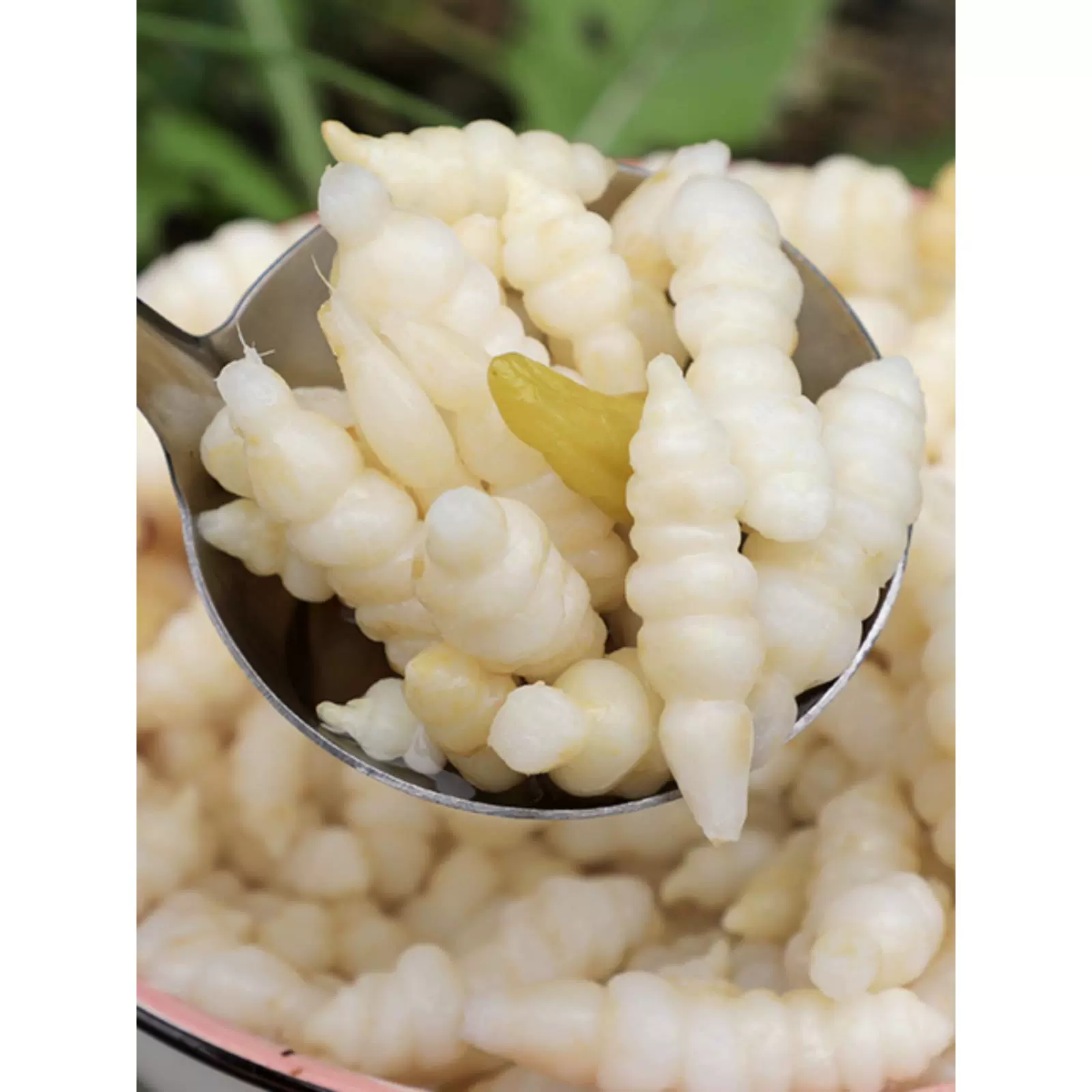 贵州特产泡椒地牯牛草石蚕玉珠宝塔菜黔山玉珠下饭野山椒泡菜酸菜