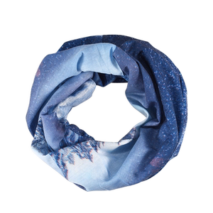 Bingshi Danxing Magic Head Scarf Riding Outdoor Sports Sports Fishing Fishing Blood and Neck Men and Women Windproof thin noodle towel
