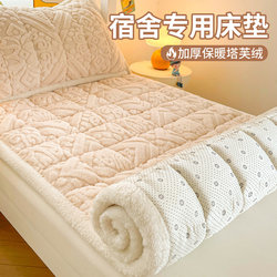 Winter Taffeta Milk Velvet Mattress Pad Soft Cushion for Dormitory Students Single Thickened Warm Blanket Pad Quilt