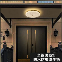 Villa Door Ceiling Light, Waterproof and Insect-Proof, Rural Self-Built House Foyer Light, Entrance Door Sensor Ceiling Light, Balcony Light