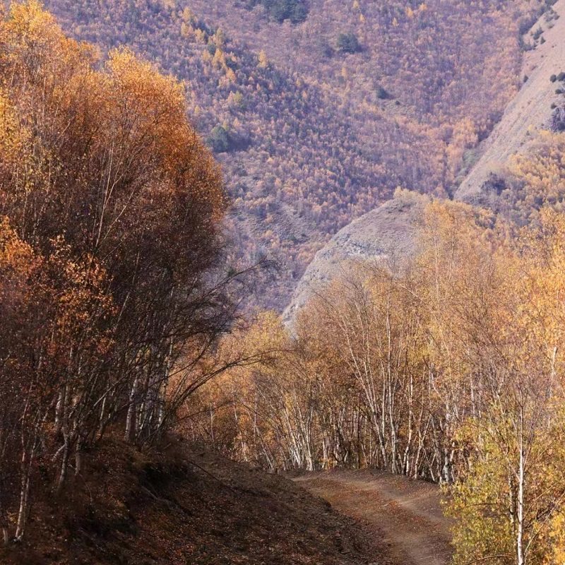 一价全含318景观大道7日游稻城冷嘎措子梅垭口八郎生都独立小团