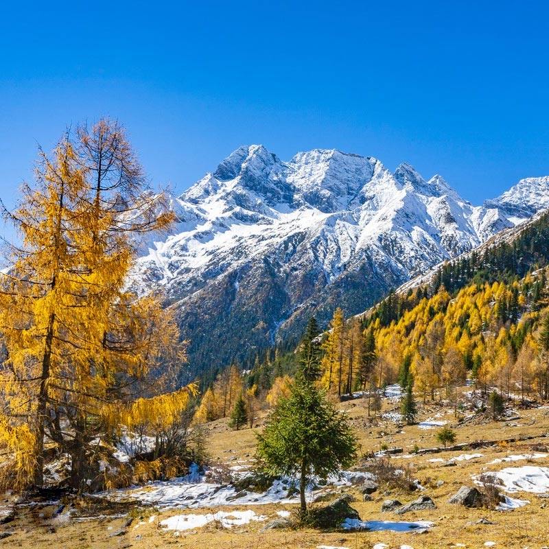 四姑娘山一日团 2-8人精品小团双桥沟一日游纯玩跟团游可选私家团