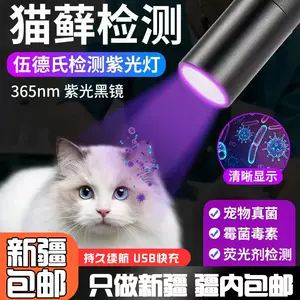 fluorescent stick cat Latest Best Selling Praise Recommendation