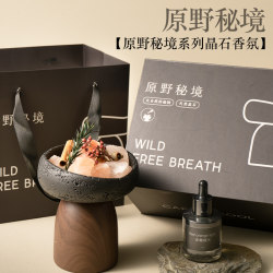 Wilderness Secret Realm Aromatherapy Gift Box: High-End Scent Diffuser Stone for Home Use, Flameless Fragrance Ornament, Gift for Housewarming