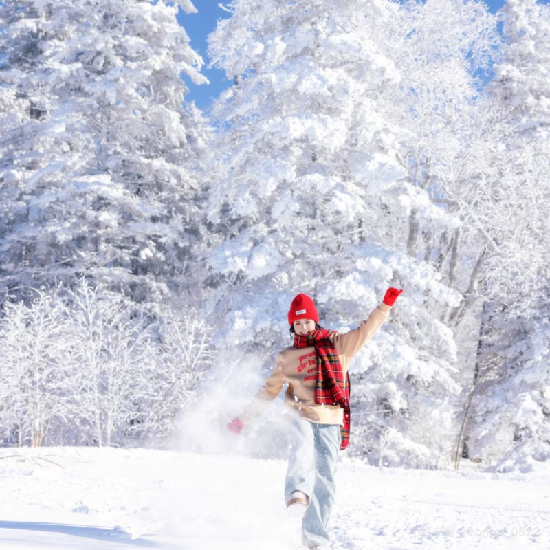 万达五钻温泉酒店送滑雪旅拍东北吉林长白山延吉旅游5天4晚私家团