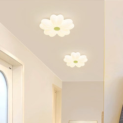 Entrance Porch Small Aisle Light, High-End Flower Creative Corridor Light, Internet Celebrity Hot Style Sealed Insect-Proof Balcony Lighting