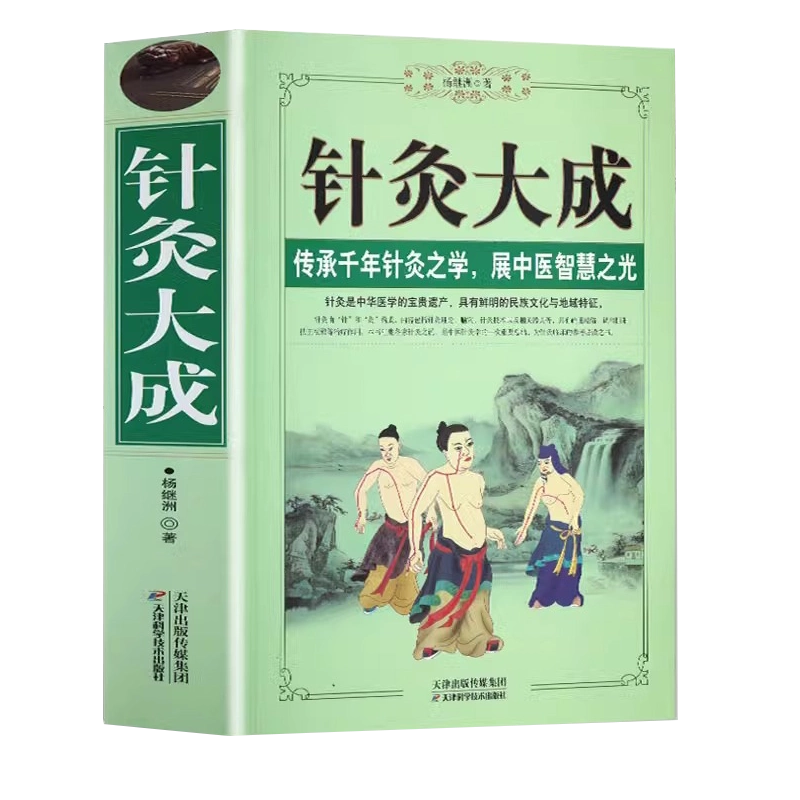 正版针灸大成原文集注释解析完整版针灸学全集内经甲乙经校释灸绳