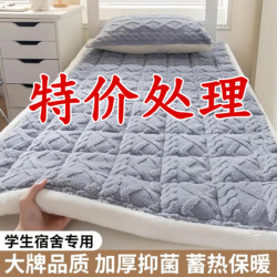 Taffeta Extra Thick Mattress Pad Soft Cushion Home Bed Blanket Non-Slip Dormitory Student Bunk Bed Blanket Base