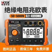 Máy đo điện trở cách điện Victory kỹ thuật số megger 1000V Máy đo cách điện thông minh VC60B+