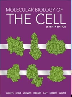 细胞分子生物学Molecular Biology of the Cell 7th 第7版英文书- Taobao
