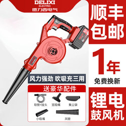 Delixi Blower Rechargeable Small Lithium Battery Blower High-Power Industrial Dual-Purpose Computer Dust Cleaner