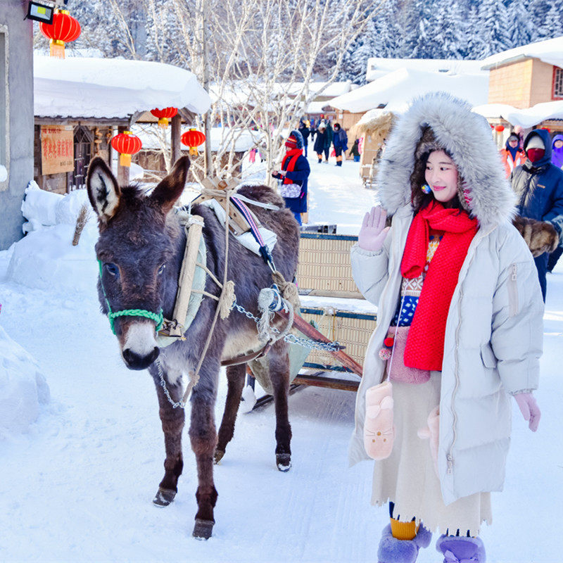 冰雪呼伦贝尔旅游包车内蒙古大草原海拉尔亲子旅游3天2晚私家团