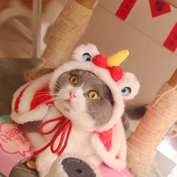 Pet Lion Dance Cape, Kitten Costume, Cat Clothing, Winter Warm Cloak, Cat Lion Dance Shawl, Dog Transformation Outfit