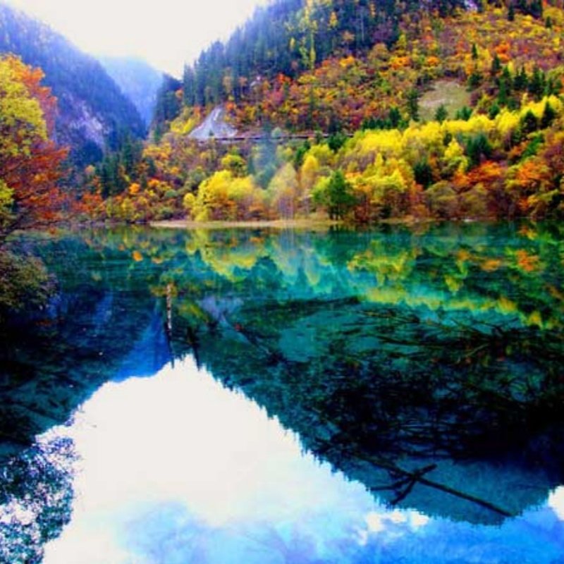 泰扬2日瘦西湖+李中水上森林公园+泰州老街+何园+凤城河