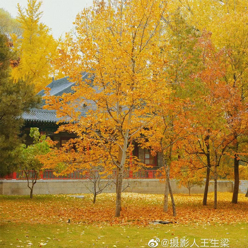 山西旅游 山西博物院 3小时深度讲解文明摇篮民族熔炉佛国10人团