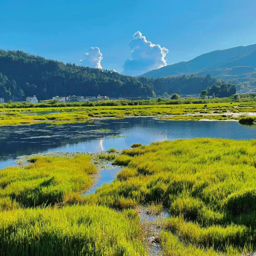 错峰一单一团云南旅游芒市瑞丽腾冲6天5晚纯玩小包团 顶奢网红客