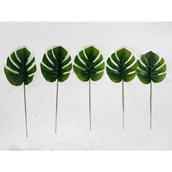 Simulation artificial plant simulation CY800199 real leaves road turtle shell leaf imitation scenery green plant accessories interior decoration back