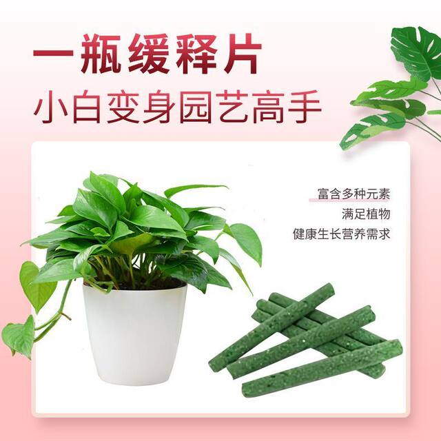 Universal Plant Slow release Nutrition Bar Plant Nutrition Slow universal-plant-slow-release-nutrition-bar-plant-nutrition-slow