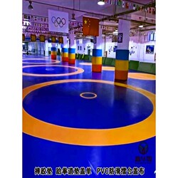 Martial Arts Sanda Pvc Non-Slip Cover Cloth for Boxing, Fighting, Grappling, Judo Training, Competition, and Wrestling Mat Cover