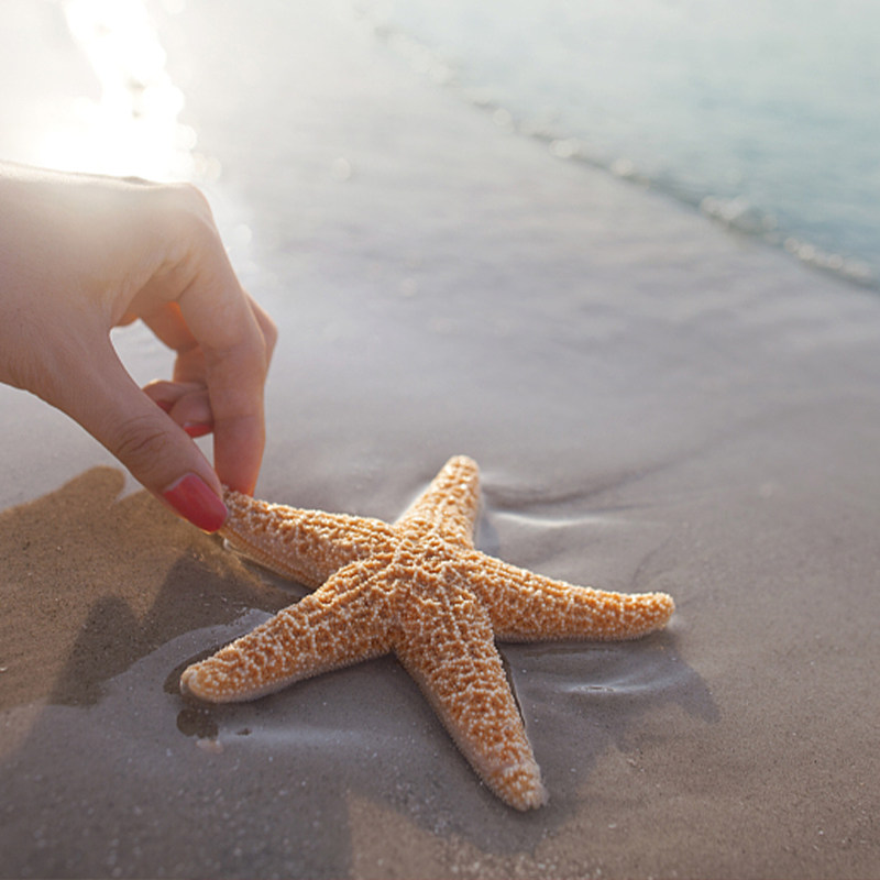 汽车出发山东威海2日自由行可选择酒店搭配美食泡温泉电影票