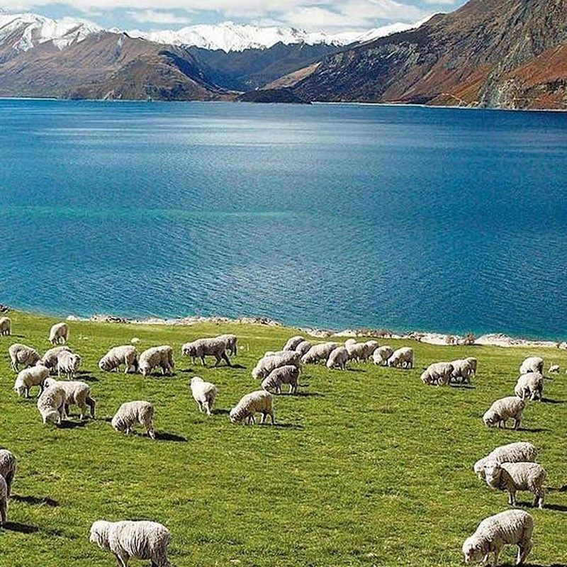 深圳1日自由行可选择酒店搭配美食泡温泉电影票