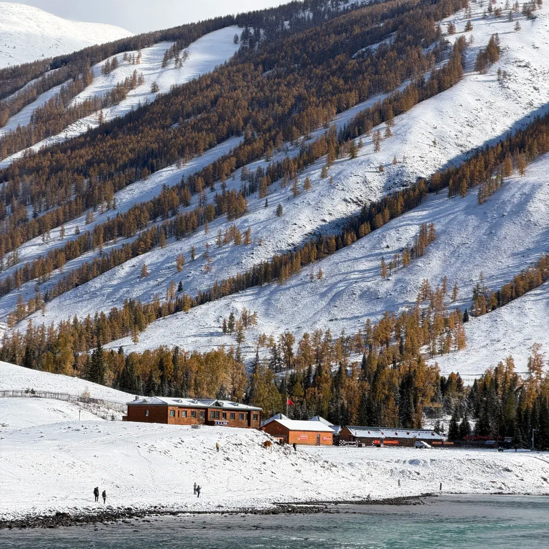 【阿勒泰起止3日】新疆北疆旅游喀纳斯禾木纯玩小团2-6人随车航拍