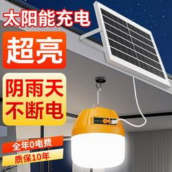 2025 New Solar-Powered Outdoor Garden Light for Home Use, Indoor and Outdoor Charging, Ultra-Bright One-To-One Lighting Bulb