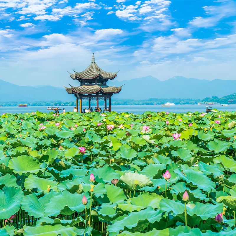 含机票上海苏州乌镇杭州华东三市5天4晚私家团东方明珠拙政园西湖