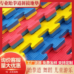 Professional Taekwondo Gym Floor Mat, Martial Arts Sanda Boxing Fighting Mat, 1m Piece Foam Taekwondo Mat