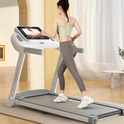 German Imported Treadmill Household Model Small Silent Foldableable Electric Walking Climbing Indoor Gym Dedicated