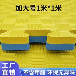 Professional Taekwondo Gym Floor Mat, Non-Slip Sports Mat, 1m Foam Floor Mats, Interlocking Martial Arts and Dance Training Thickened Mat