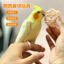 Tiger Skin Cockatiel and Lovebird Entertainment Toy, Natural Rattan Ball for Training, Chewing, and Intelligence Development