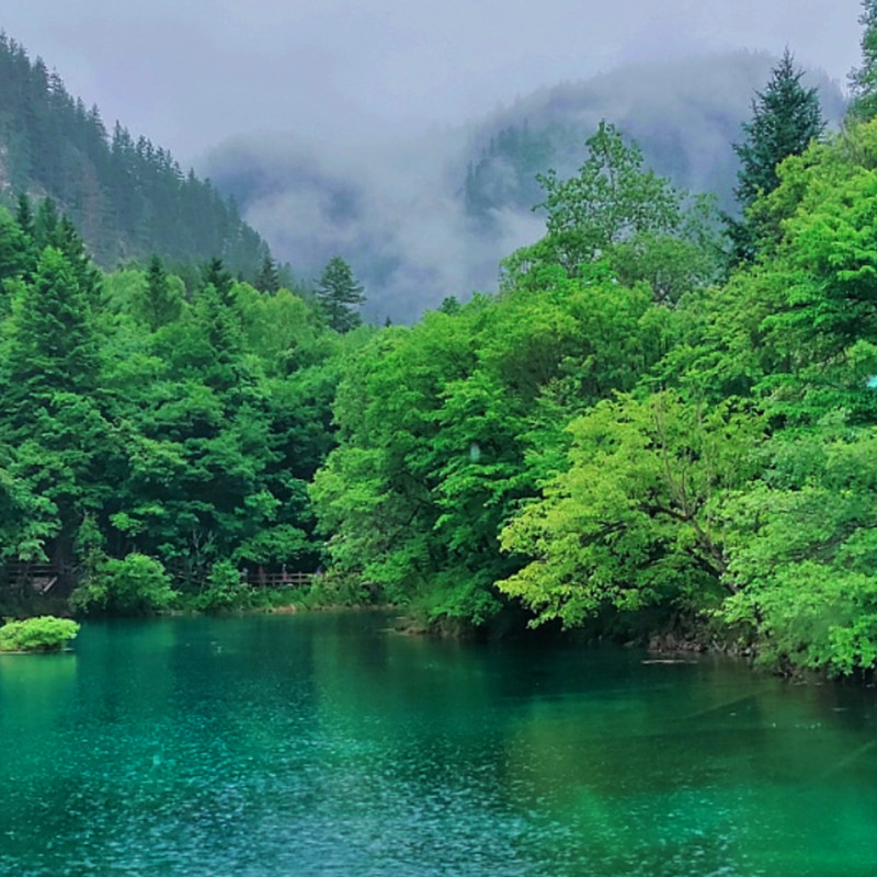 九寨沟接送松潘站直通车大巴保姆车拼车一日周边游